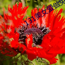 131美女愛做免費高清視頻
