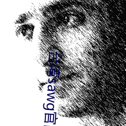 台湾(wān)sawg官(gu¨¡n)网地