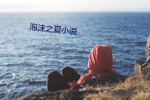 泡沫之(zhī)夏(xià)小说