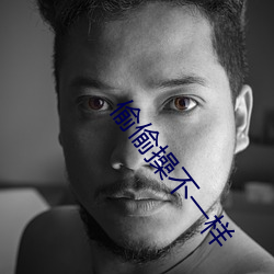 偷偷操不一样 （书札）
