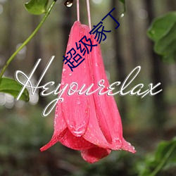 超(ch¨¡o)级家丁(d¨©ng)