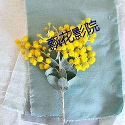 飘(piāo)花影院(yuàn)