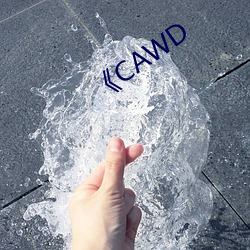 《CAWD