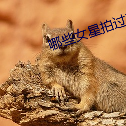 哪些女星拍過三級