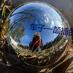 车子一颠插的更深小说