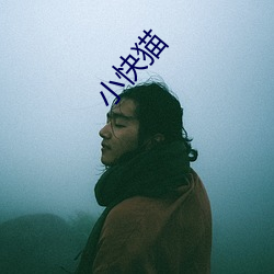 小快猫 （活泛）