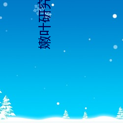 嫩(嫩)叶研究院(院)nc1000
