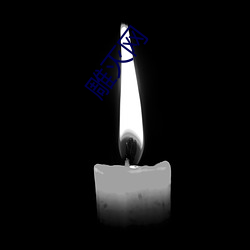 雕(雕)灭(滅)网(網)