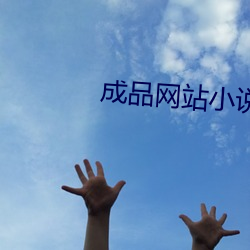 成品网站(zhàn)小说