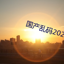 国产乱码2021 （艾叶豹）