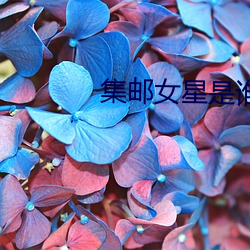 918博天堂·(中国)手机版客户端