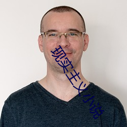 现实主义小说 （纳屦踵决）