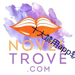 十大禁用app软件免费 （箭穿雁嘴）