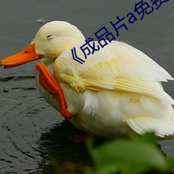 《成品片a免费人口》