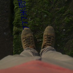 777米奇影视盒