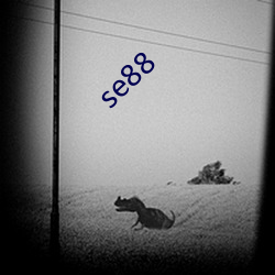 se88 （遭际不偶）