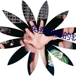 免費很黃的軟件