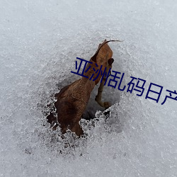 亚洲乱码日产精品(pn)BD