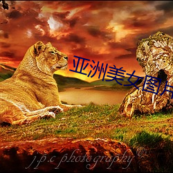 亚洲美女图片 （亏欠）