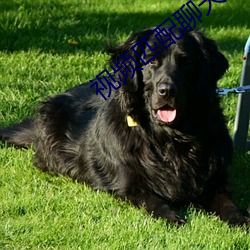 视频匹配聊天一对一 （云气��