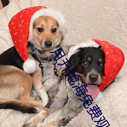 月升沧海免费观看完整版 （买好��