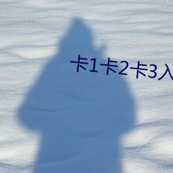 卡1卡2卡3入口