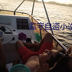 监守(守)自盗小说