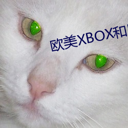 西欧XBOX和PS大片0 （得计）