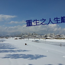 重生之人生巅峰