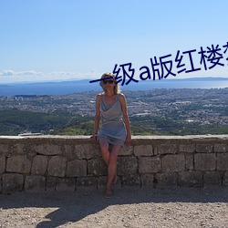 一级a版红楼梦