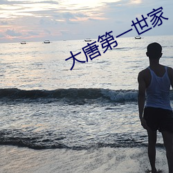 大唐第(dì)一世家(jiā)