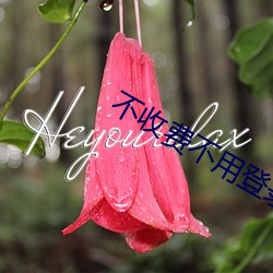 不收费(fèi)不用(yng)登录网站