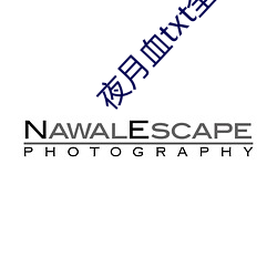 夜月血txt全(全)集(集)下载