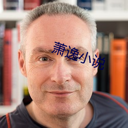 蕭逸小說