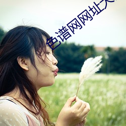 色谱网网址大全