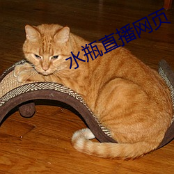 水瓶直播網頁