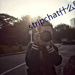 stripchat什么网站 （披林撷秀）