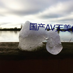 国产AV天美传媒TMO156