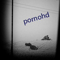 pornohd