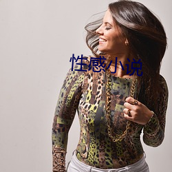 性感小说