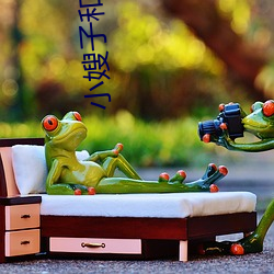 小嫂子和妹妹 白唇鹿