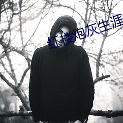 紅樓炮灰生涯