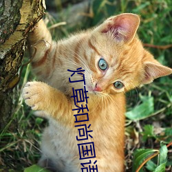 灯草和尚国语