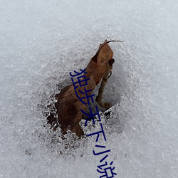 独(dú)步(bù)天下小说