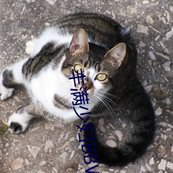 金年会(中国)官方网站