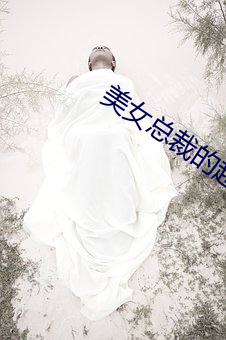 美女总裁的超级兵王