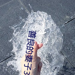 善良的妻(qī)子3中字巴巴鱼汤