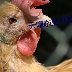 天噜啦更换域名解析 （有感）