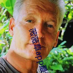 薇薇草app最新
