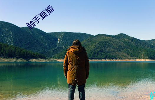 触手直播 （贪财）